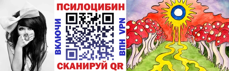 купить  цена  маркетплейс клад  Псилоцибиновые грибы Psilocybine cubensis  Переславль-Залесский 